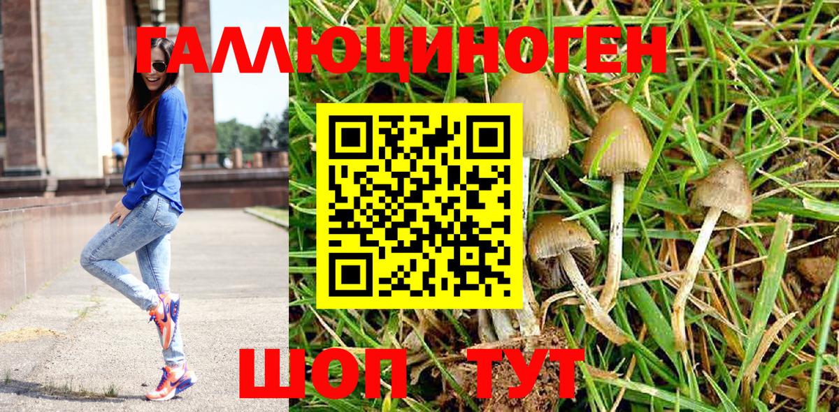 МЕФ   Ульяновск  Вход с VPN  ГАШИШ  Конопля 